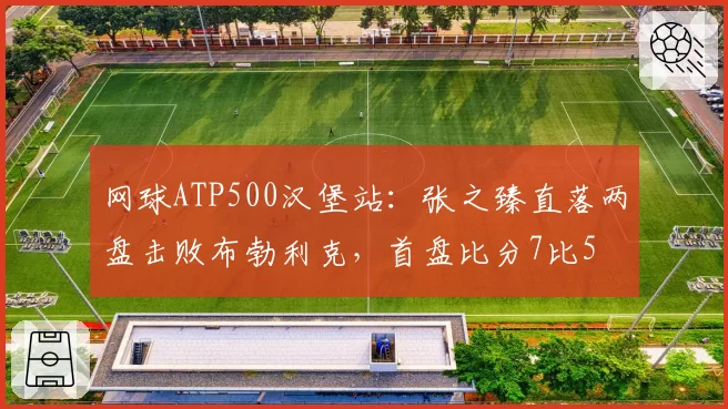 网球ATP500汉堡站：张之臻直落两盘击败布勃利克，首盘比分7比5