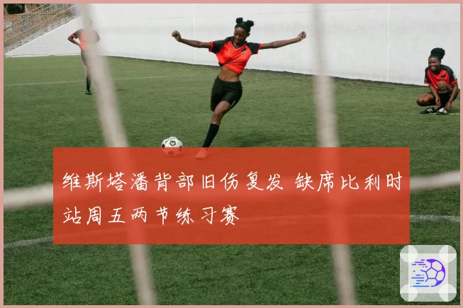 维斯塔潘背部旧伤复发 缺席比利时站周五两节练习赛