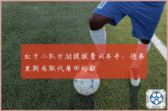 红牛二队计划提拔青训车手，德弗里斯或取代角田裕毅