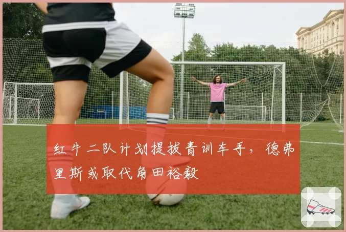 红牛二队计划提拔青训车手，德弗里斯或取代角田裕毅