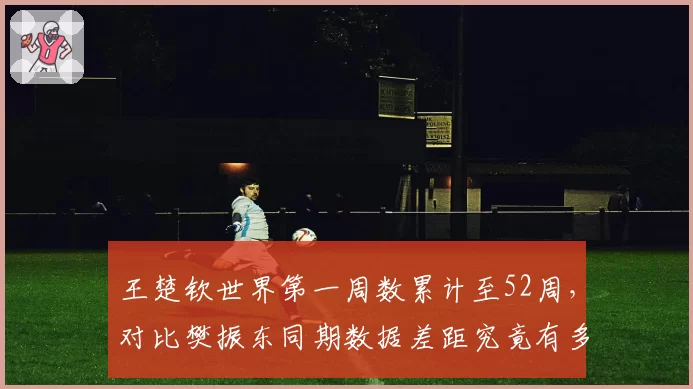 王楚钦世界第一周数累计至52周，对比樊振东同期数据差距究竟有多大？__br_